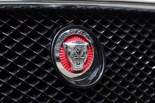 車標(biāo)上的動物都是啥來頭？看完又能出去裝X了