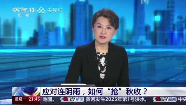 【主流媒體看周口】面對(duì)連陰雨 如何“搶”秋收？